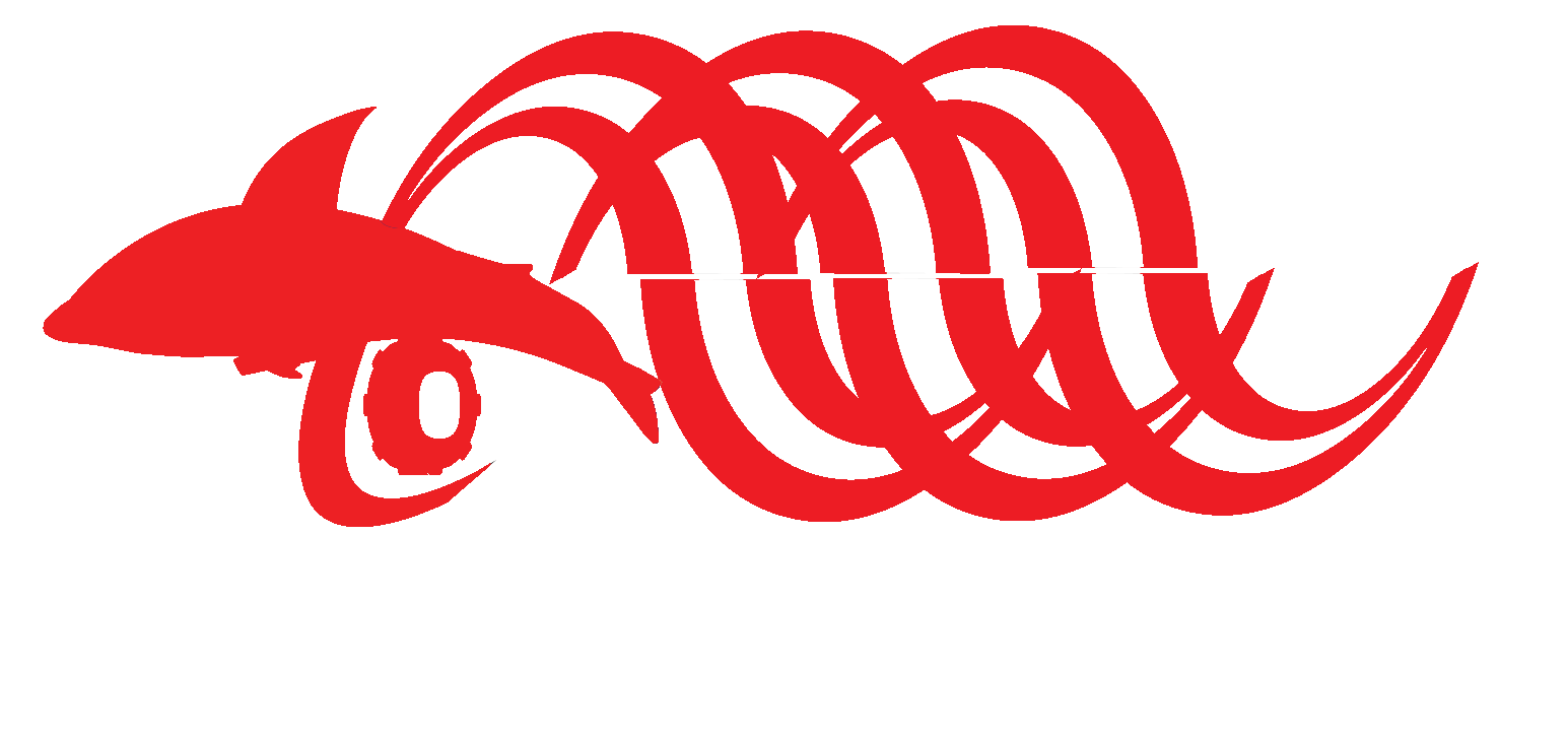 MOVROBOTICS | Your Third Eye on Offshore Infrastructure